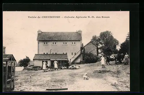 AK Vallee de Chevreuse, Colonie Agricole N.-D. des Roses, Kühe