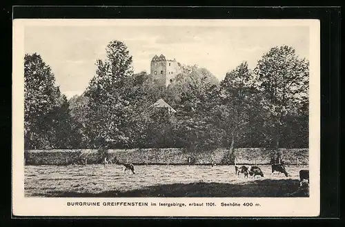 AK Greiffenstein /Isergebirge, Blick auf die Burgruine