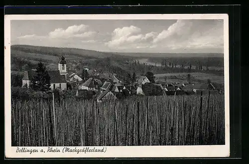 AK Bellingen a. Rhein (Markgräflerland), Totalansicht von einem Berg aus