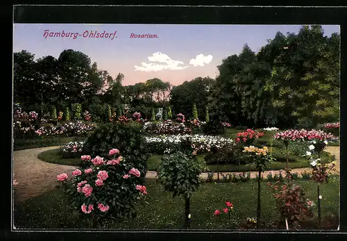 AK Hamburg-Ohlsdorf, Rosarium