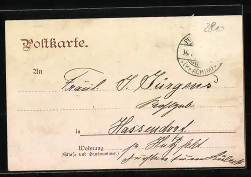 AK Verden a. d. Aller, Dom