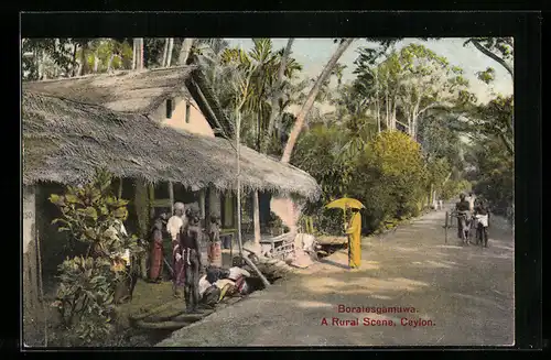 AK Boralesgamuwa, A Rural Scene