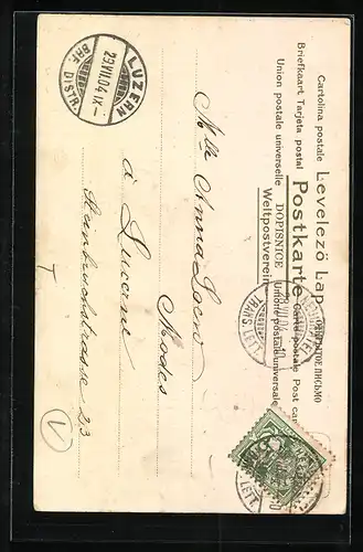 Lithographie Mittelalterliche Maid mit Kopftuch auf Wiese