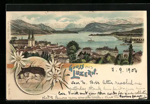Lithographie Luzern, Ortsansicht aus der Vogelschau, Löwen-Denkmal, Edelweiss