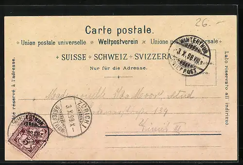 Lithographie Winterthur, Stadthaus, Dr. Jonas Furrer-Denkmal