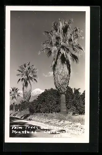 AK Claremont, CA, Palm Trees and Mountains