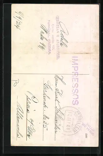 AK Madeira, Fonte no Monte