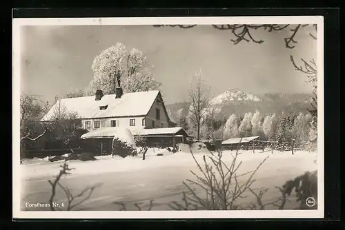 AK Deutsch-Gabel, Forsthaus Nr. 6 im Winter