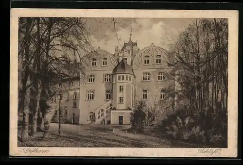 AK Gifhorn, Blick auf das Schloss