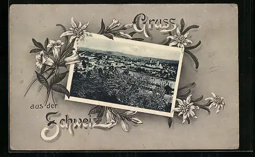 Passepartout-AK Aarau, Gesamtansicht im Rahmen mit Edelweiss