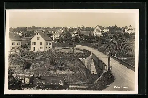 AK Erlenbach, Ortspartie mit Strasse