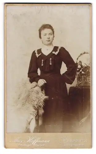 Fotografie Max Hoffmann, Pulsnitz, Junge Dame im Kleid