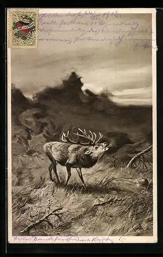 AK Röhrender Hirsch, Zwölfender, in der Landschaft