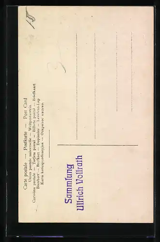 AK majestätischer Hirsch mit grossem Geweih