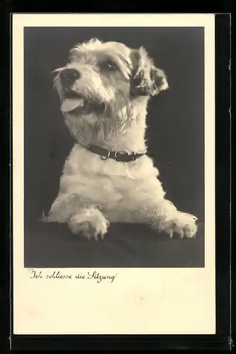 AK Ich schliesse die Sitzung, Kleiner Terrier