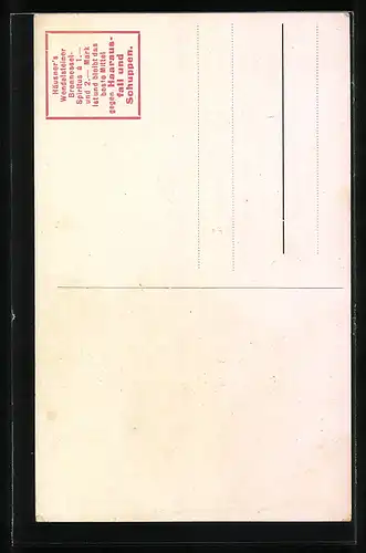 AK Zwei exotische Schwalben im Urwald