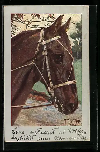 AK Angeschirrtes Pferd auf einer Landstrasse, Portrait