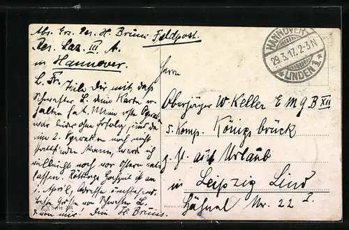 AK Drei tolle Pferde mit Halftern