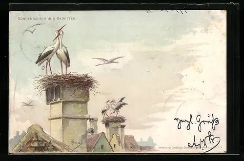 Lithographie Storchenpaar im gemeinsamen Nest auf dem Schornstein