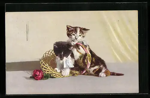 AK Zwei kleine Katzen mit Körbchen und Rose