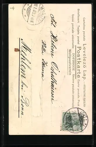 AK Hundewelpe mit treuherzigem Blick