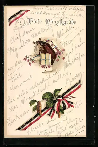 AK Maikäfer trägt Pakete auf dem Rücken, deutsche Reichsflagge, Viele Pfingstgrüsse