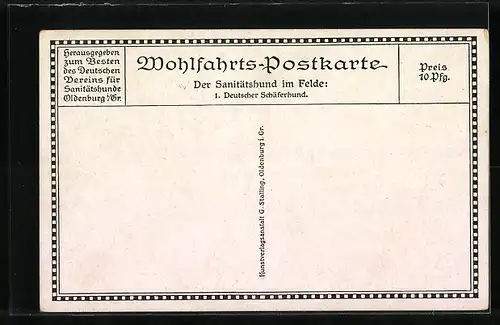 AK Der Sanitätshund im Felde: Deutscher Schäferhund