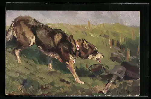 Künstler-AK Sanitätshund auf der Suche nach Verwundeten einer Schlacht