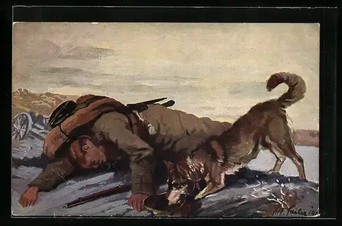 AK Sanitätshund findet verwundeten Soldaten