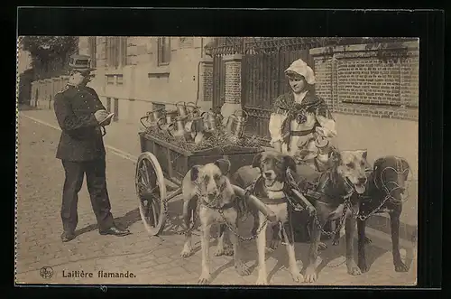 AK Kontrolle einer Milchverkäuferin mit Hundegespann in Flandern