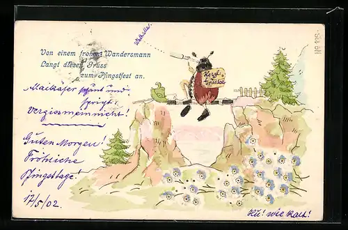 Präge-Lithographie Maikäfer auf Wanderschaft geniesst die Aussicht