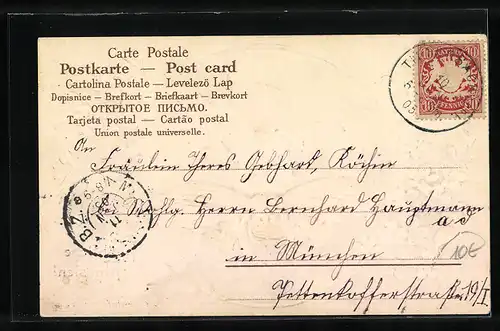 Präge-Lithographie Kind auf dem Rücken eines fliegenden Maikäfers, Pfingstgruss