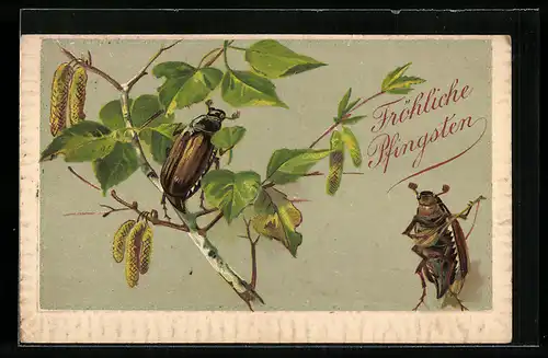 Präge-AK Maikäfer musiziert für Maikäfer auf Birkenzweig, Pfingstgruss