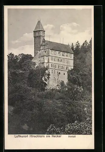 AK Hirschhorn /Neckar, Das Schloss