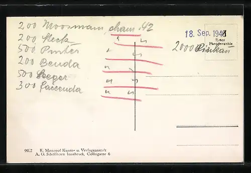 AK Feldkirch, Stadtansicht mit Gurtisspitze