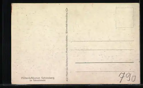 AK Schömberg /Schwarzwald, Totalansicht des Ortes