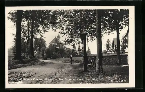 AK Maria Eck bei Siegesdorf, Wallfahrtskirche