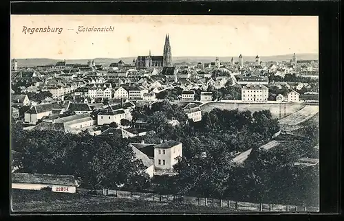 AK Regensburg, Totalansicht mit Blick zum Dom