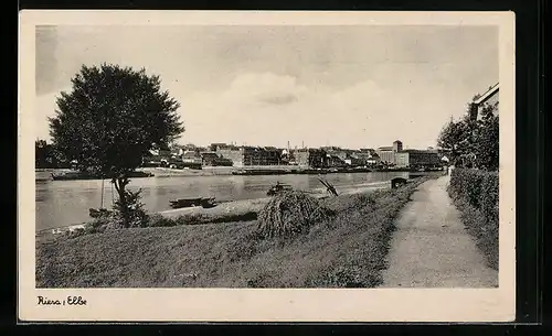 AK Riesa an der Elbe, Flusspartie mit Blick zur Stadt