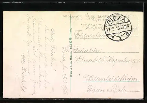 AK Riesa a. Elbe, Stadtpark mit Passanten, Brandenburgerweg