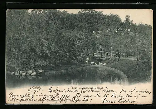 AK Hamburg-Ohlsdorf, Teich am geologischen Hügel