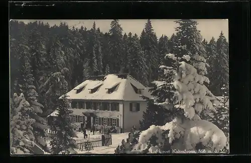 AK Kaltenbronn, Blick auf Pension