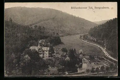 AK Bergzabern /Böllenborner Tal, Ortsansicht mit Hotel