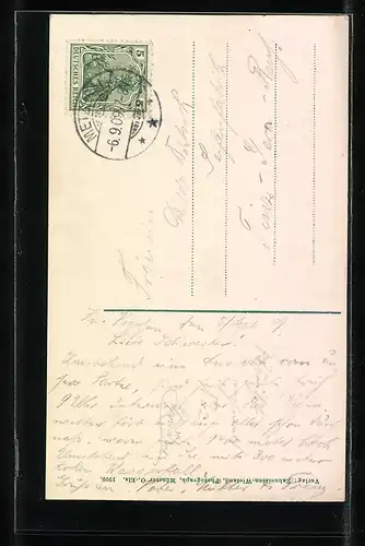 AK Münster i. E., Fischboedle im Münstertal, Wasserfall