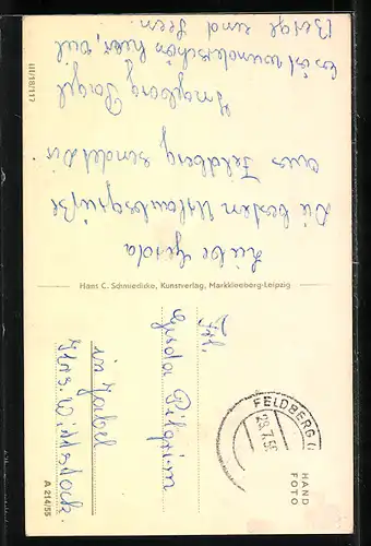 AK Feldberg /Meckl., Am Hauptsee