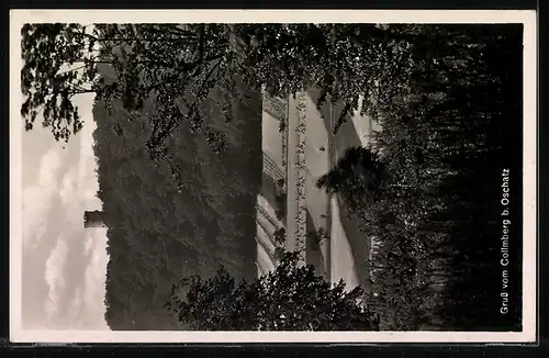 AK Landpoststempel Collm über Oschatz