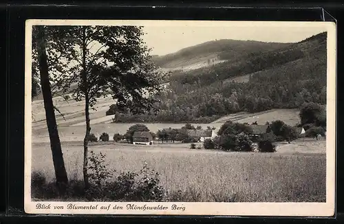 AK Landpoststempel Lehn Neukirch (Lausitz) Land