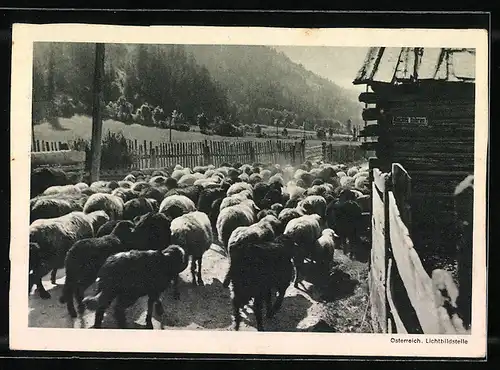 AK Landpoststempel Wetitz über Oschatz