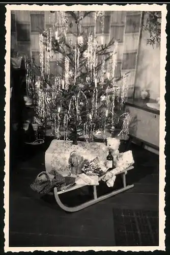 Fotografie Weihnachten, Teddybär & Plüschtier auf Schlitten neben Weihnachtsbaum