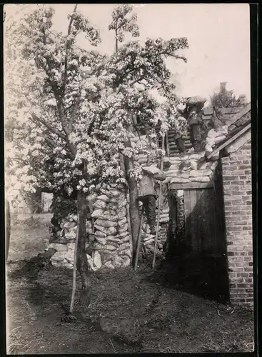 Fotografie 1.WK, W. Braemer, Berlin, Unterstand-Sandsackstellung von Frühlingsblüten verdeckt